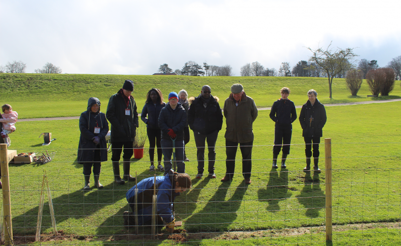 Downside School Tree Week March 2022