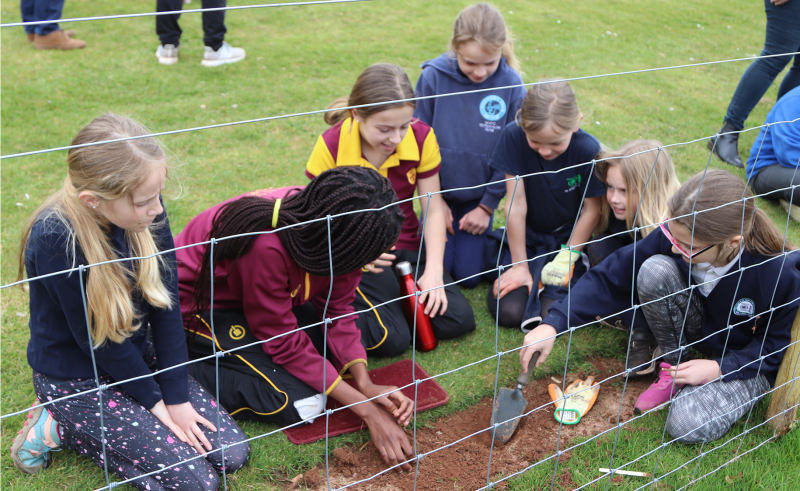 Downside School Tree Week March 2022