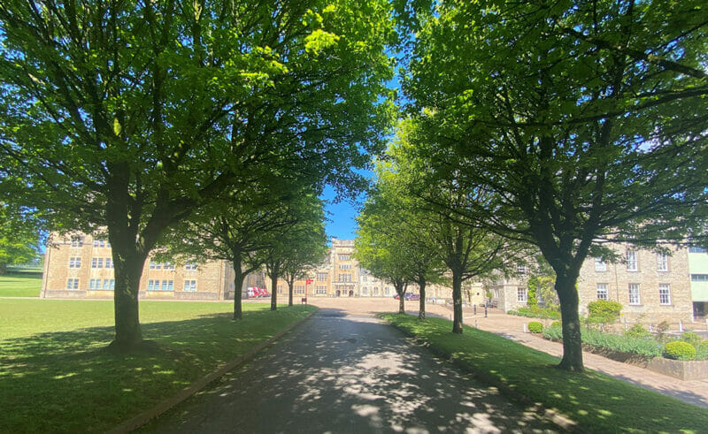 Downside School Driveway, planted by the Eke Family in 1995