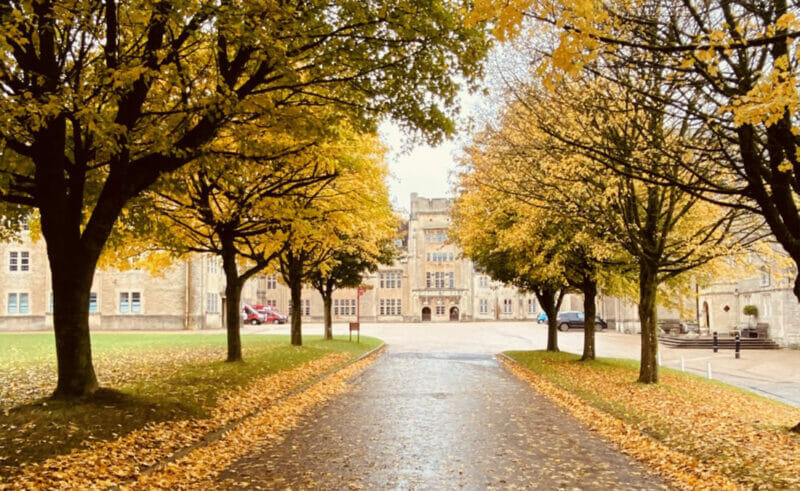 Downside School Driveway, planted by the Eke Family in 1995
