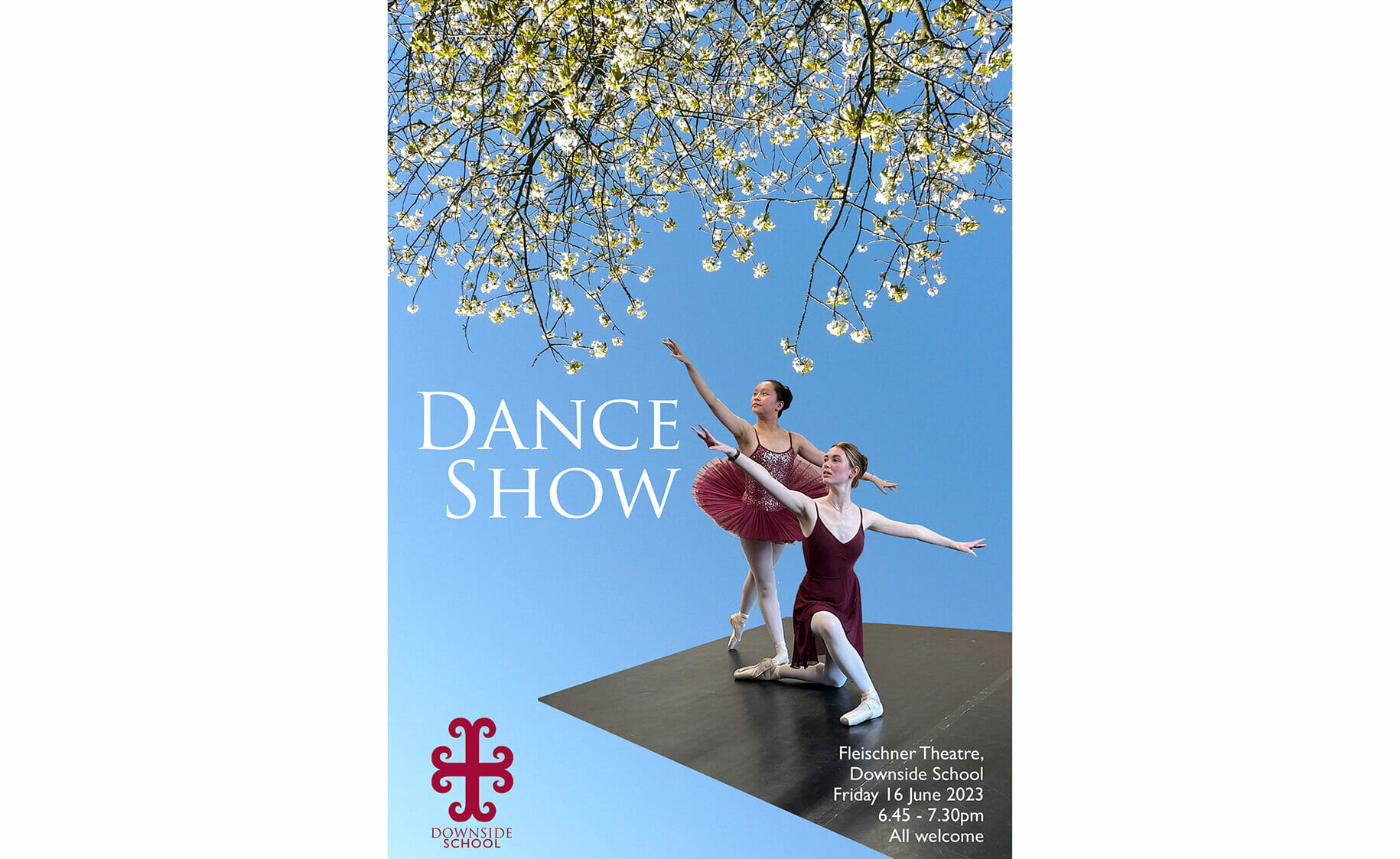 Downside School dance Show