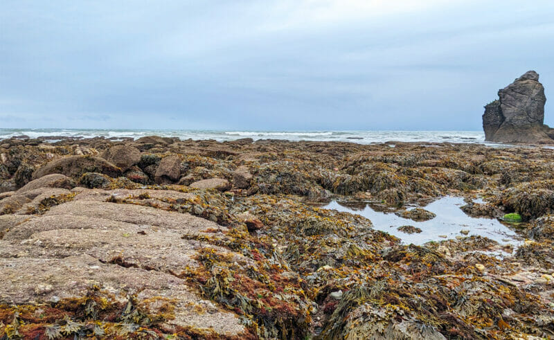 This week, Downside School Upper Sixth science pupils have been taking part in a three day residential field trip to Buckfastleigh.