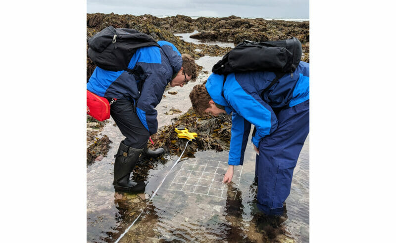 This week, Downside School Upper Sixth science pupils have been taking part in a three day residential field trip to Buckfastleigh.